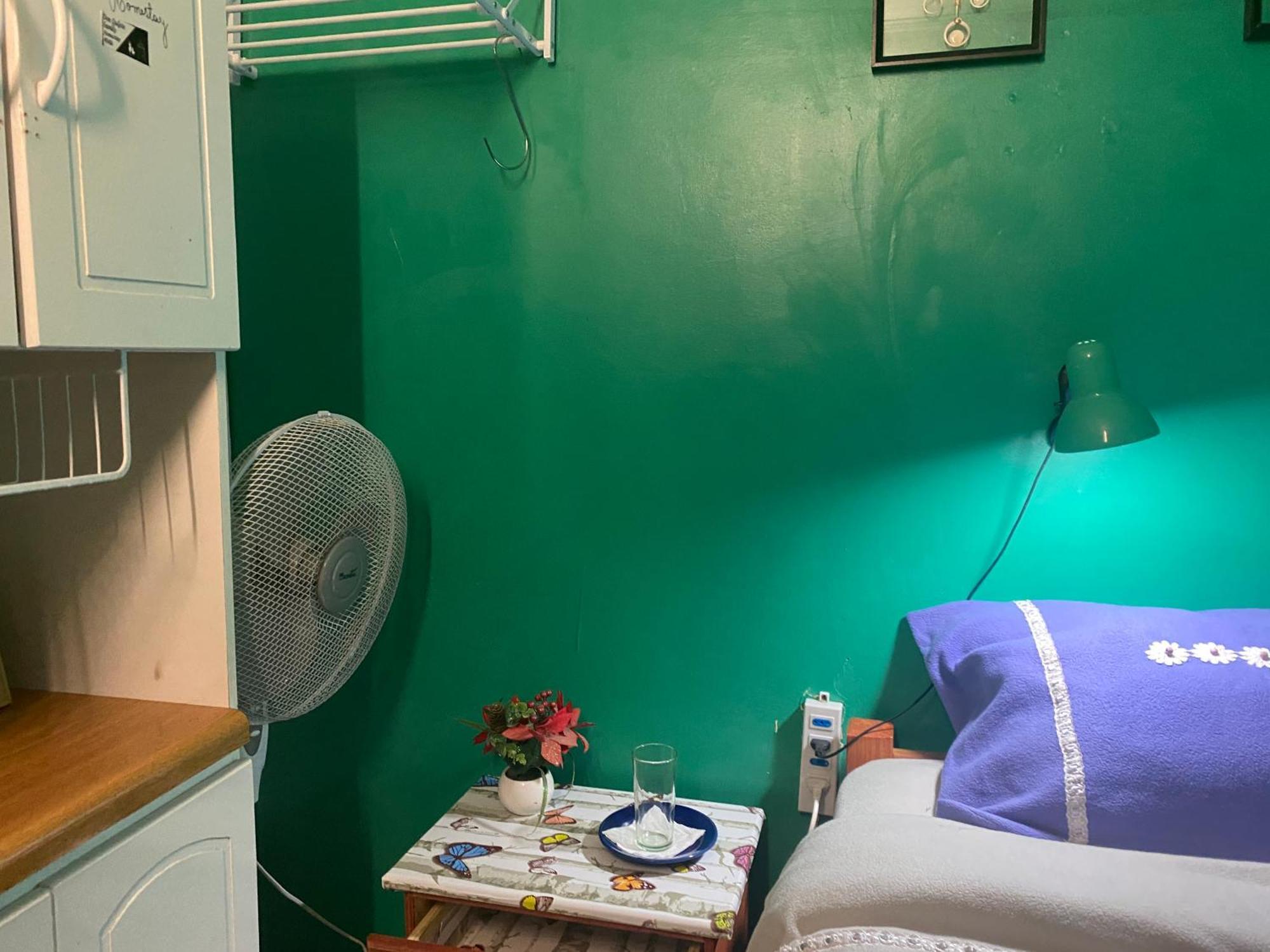 Don Quijote Family Homestay Santiago de Chile Eksteriør billede